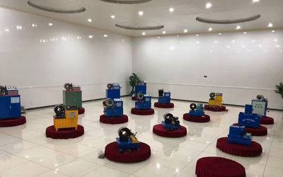 চীন Shanghai Fanying Machinery Technology Co., Ltd. কোম্পানির প্রোফাইল